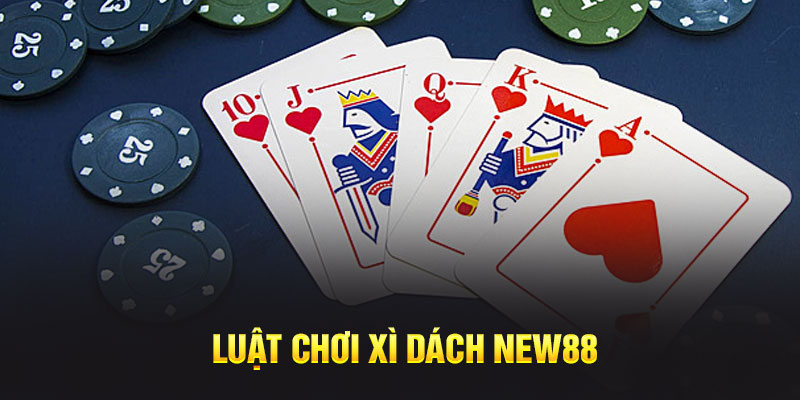 Luật chơi xì dách New88