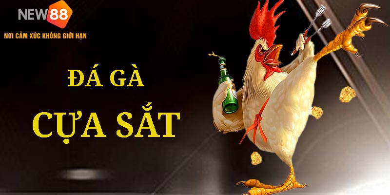 Đá Gà Cựa Sắt NEW88