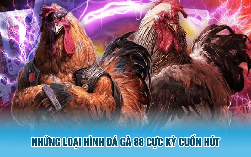 Những loại hình đá gà 88 cực kỳ cuốn hút